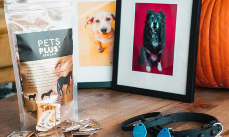 Vital Scan: Pet Scan