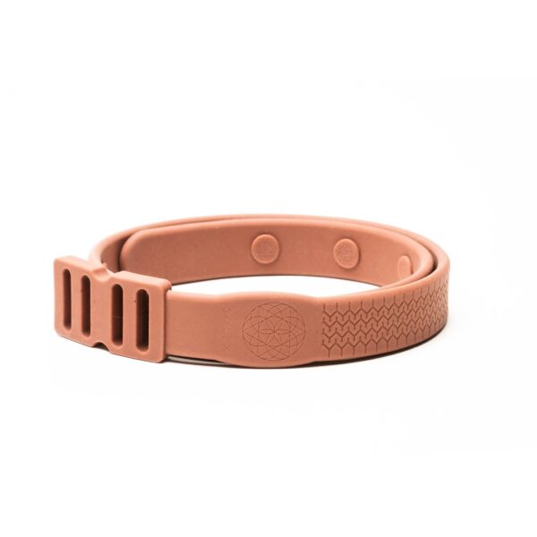Pet+Collar_Brown