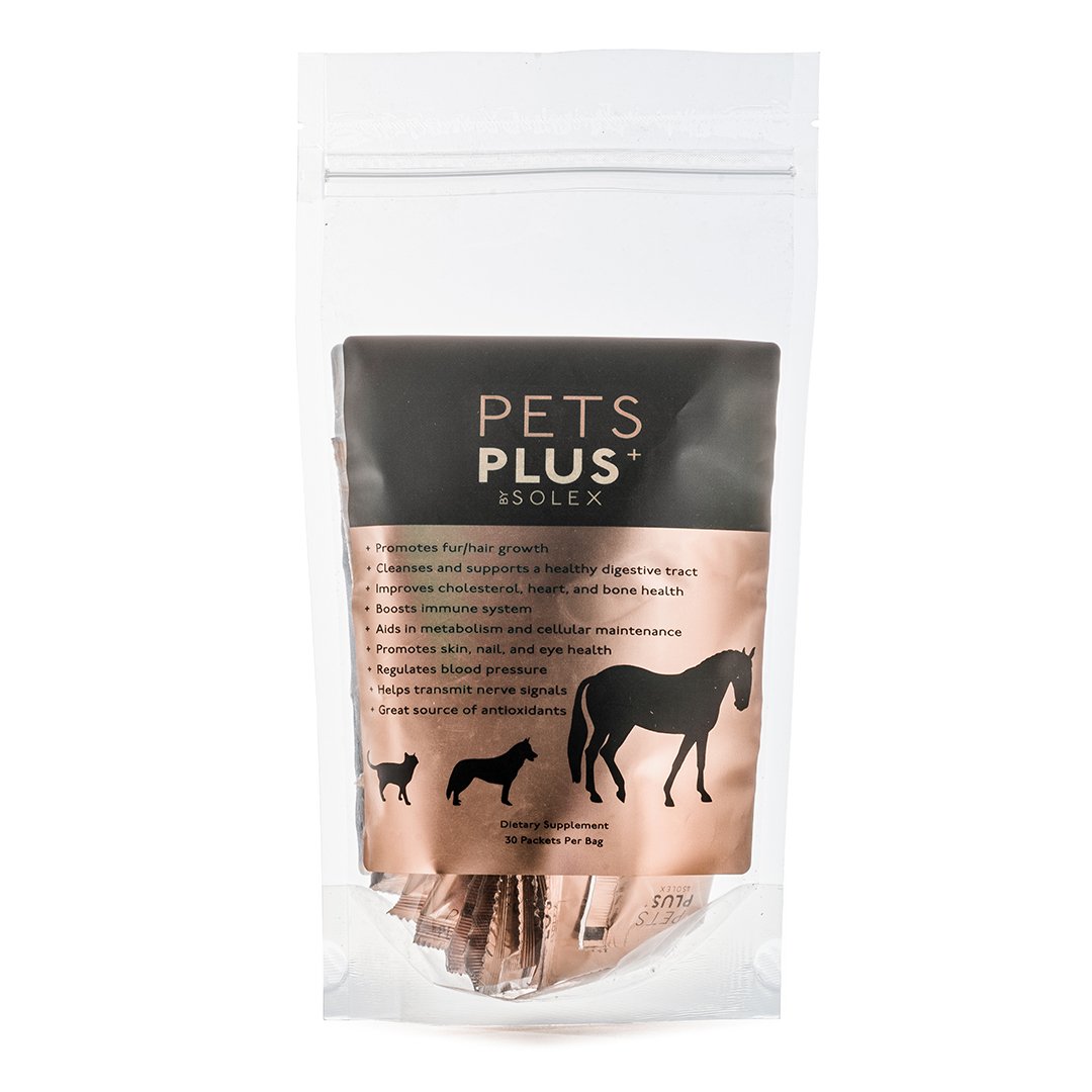 Read more about the article Pets Plus