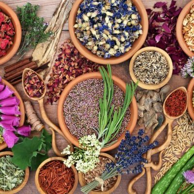 SEFI: Quantum and Flowers and Hemopathics